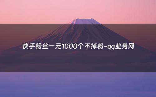 快手粉丝一元1000个不掉粉-qq业务网