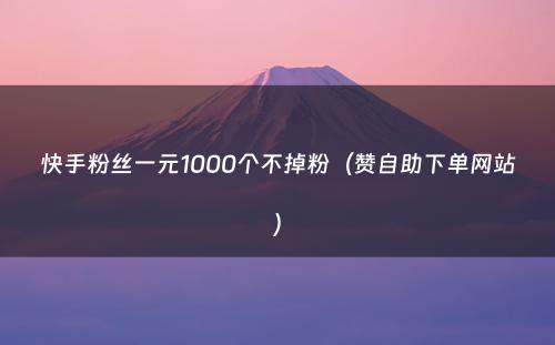 快手粉丝一元1000个不掉粉（赞自助下单网站）