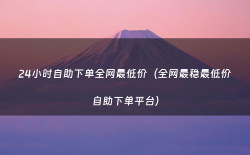 24小时自助下单全网最低价（全网最稳最低价自助下单平台）