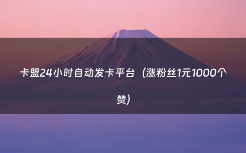 卡盟24小时自动发卡平台（涨粉丝1元1000个赞）