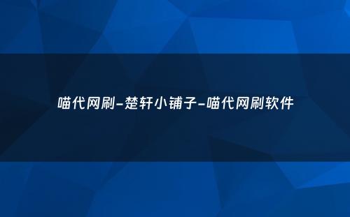 喵代网刷-楚轩小铺子-喵代网刷软件