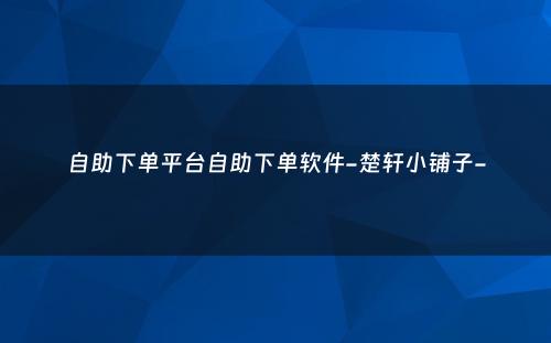 自助下单平台自助下单软件-楚轩小铺子-