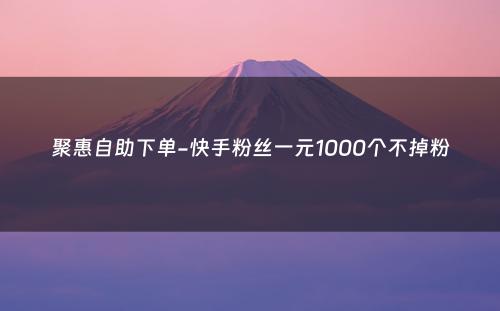 聚惠自助下单-快手粉丝一元1000个不掉粉