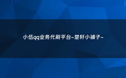 小伍qq业务代刷平台-楚轩小铺子-