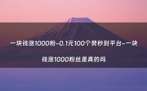 一块钱涨1000粉-0.1元100个赞秒到平台-一块钱涨1000粉丝是真的吗