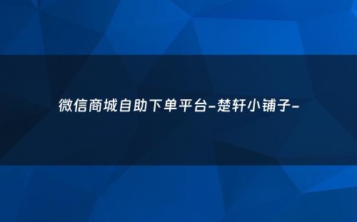 微信商城自助下单平台-楚轩小铺子-