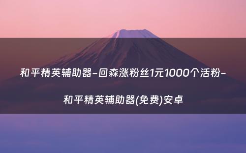 和平精英辅助器-回森涨粉丝1元1000个活粉-和平精英辅助器(免费)安卓