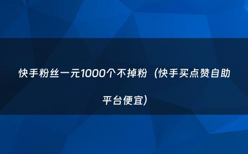 快手粉丝一元1000个不掉粉（快手买点赞自助平台便宜）