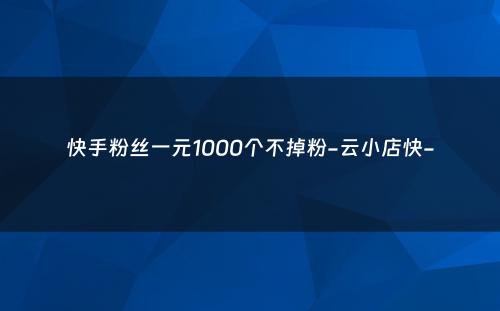 快手粉丝一元1000个不掉粉-云小店快-