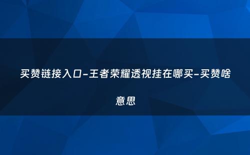 买赞链接入口-王者荣耀透视挂在哪买-买赞啥意思