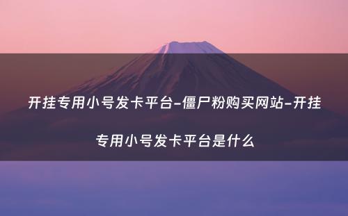 开挂专用小号发卡平台-僵尸粉购买网站-开挂专用小号发卡平台是什么