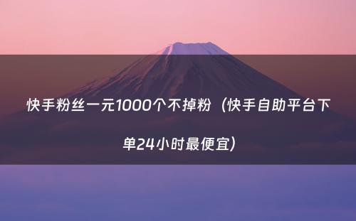 快手粉丝一元1000个不掉粉（快手自助平台下单24小时最便宜）