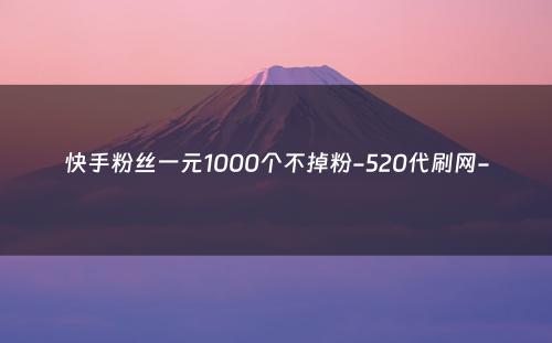 快手粉丝一元1000个不掉粉-520代刷网-