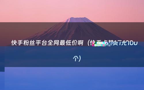 快手粉丝平台全网最低价啊（快手点赞1元100个）