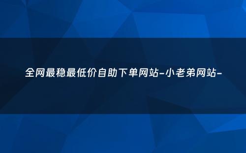 全网最稳最低价自助下单网站-小老弟网站-