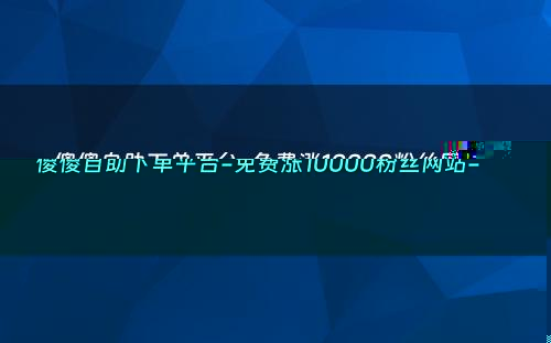 傻傻自助下单平台-免费涨10000粉丝网站-