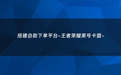 搭建自助下单平台-王者荣耀黑号卡盟-