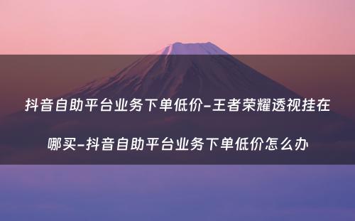 抖音自助平台业务下单低价-王者荣耀透视挂在哪买-抖音自助平台业务下单低价怎么办