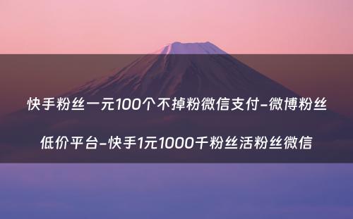 快手粉丝一元100个不掉粉微信支付-微博粉丝低价平台-快手1元1000千粉丝活粉丝微信