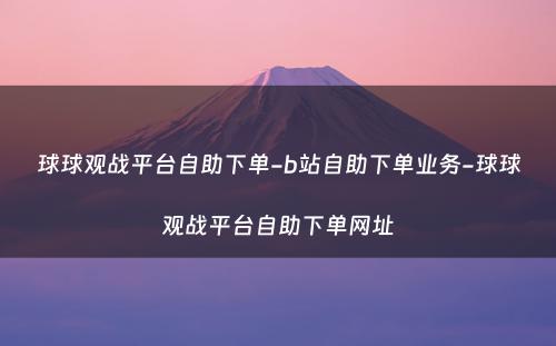 球球观战平台自助下单-b站自助下单业务-球球观战平台自助下单网址