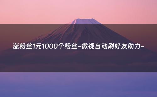 涨粉丝1元1000个粉丝-微视自动刷好友助力-