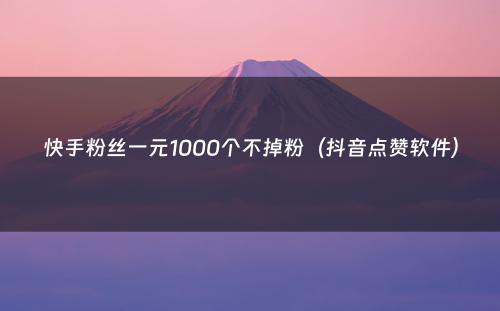 快手粉丝一元1000个不掉粉（抖音点赞软件）