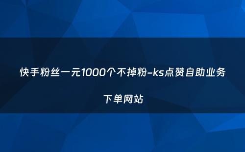 快手粉丝一元1000个不掉粉-ks点赞自助业务下单网站