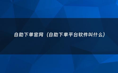 自助下单官网（自助下单平台软件叫什么）