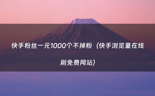 快手粉丝一元1000个不掉粉（快手浏览量在线刷免费网站）